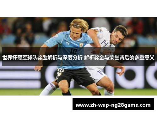 世界杯冠军球队奖励解析与深度分析 解析奖金与荣誉背后的多重意义