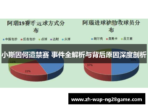 小斯因何遭禁赛 事件全解析与背后原因深度剖析