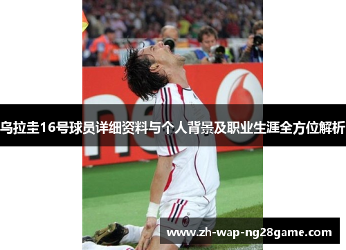 乌拉圭16号球员详细资料与个人背景及职业生涯全方位解析