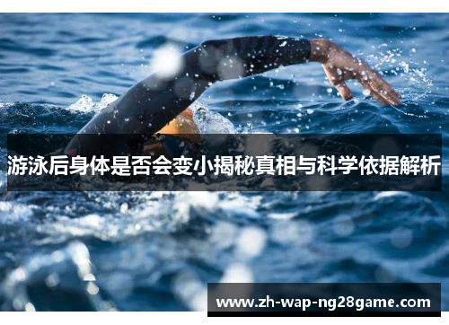游泳后身体是否会变小揭秘真相与科学依据解析