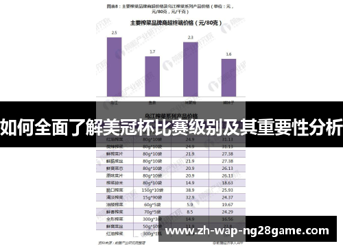 如何全面了解美冠杯比赛级别及其重要性分析