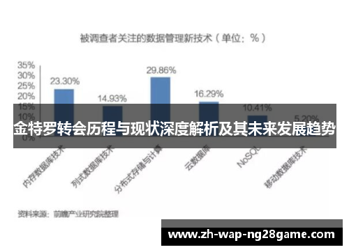 金特罗转会历程与现状深度解析及其未来发展趋势
