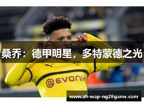 桑乔：德甲明星，多特蒙德之光