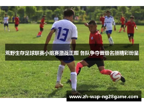 荒野生存足球联赛小组赛激战正酣 各队争夺晋级名额精彩纷呈