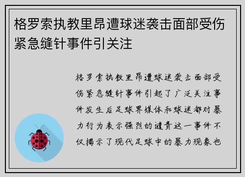 格罗索执教里昂遭球迷袭击面部受伤紧急缝针事件引关注